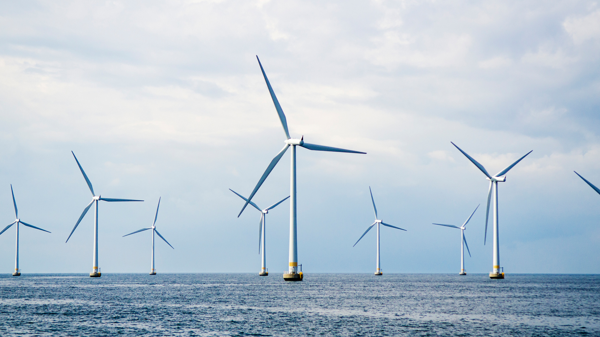 Offshore wind turbines at sea